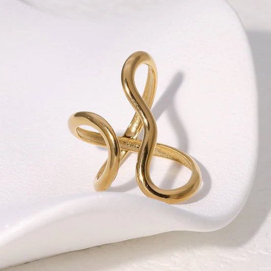 Glossy Special-Shaped Line Design Index Finger Ring – Exaggerated & Minimalist Style